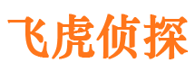 大理侦探公司